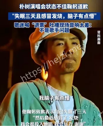 朴树演唱会