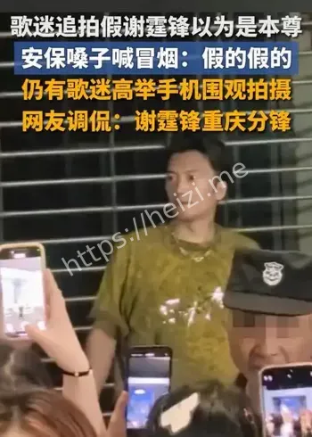 谢霆锋重庆演唱会山寨版事件